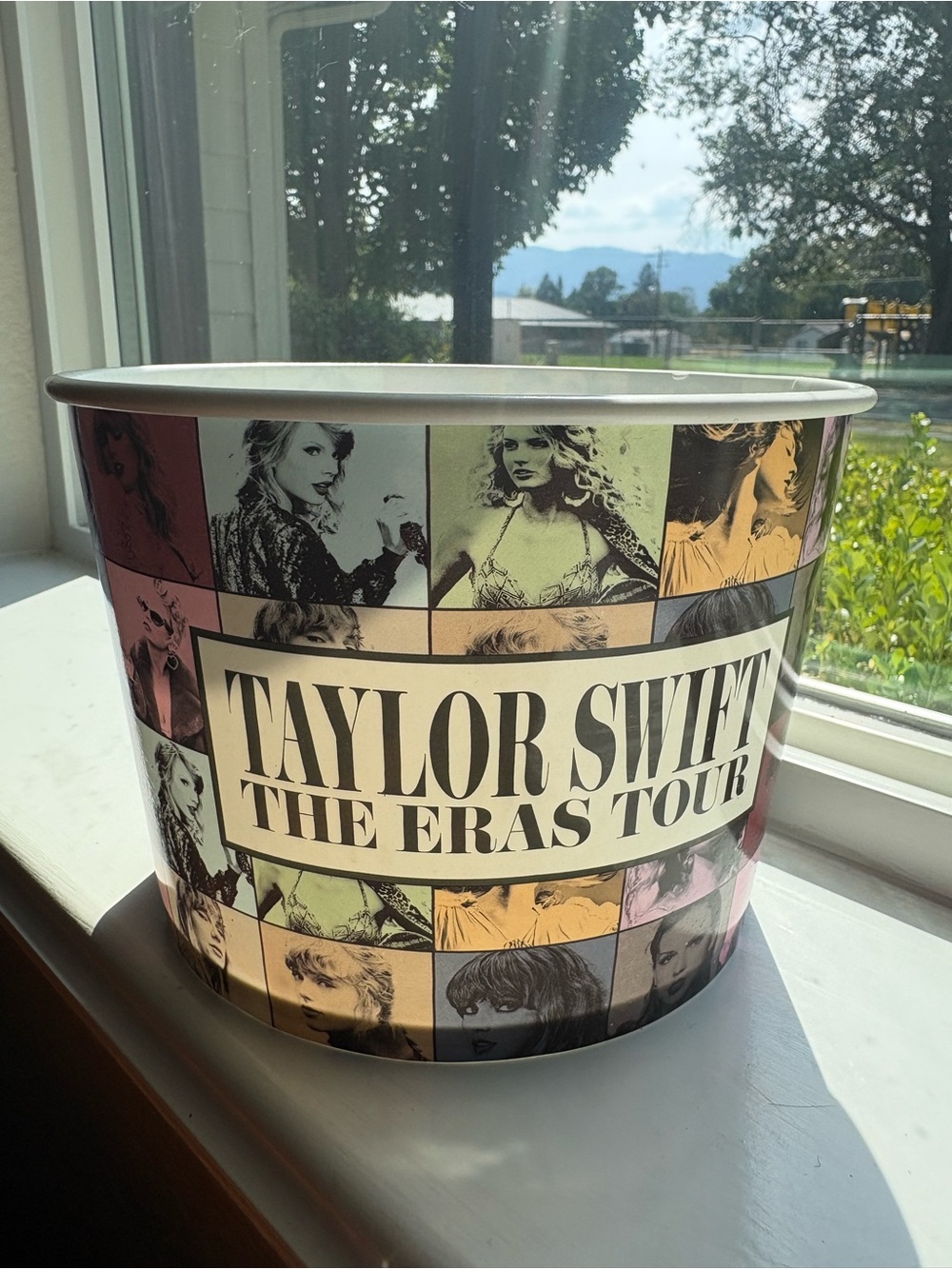 Taylor Swift Eras Tour Bucket